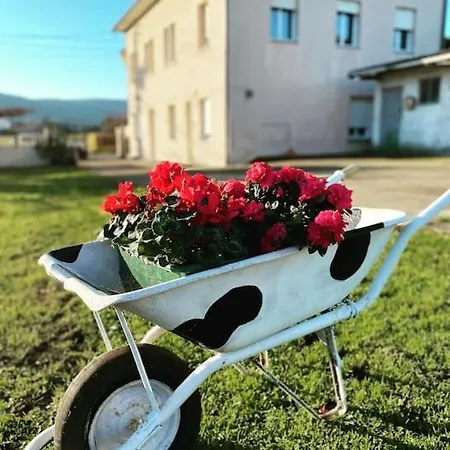 Viviendas Uso Turistico Reme I Foz Buitenkant foto